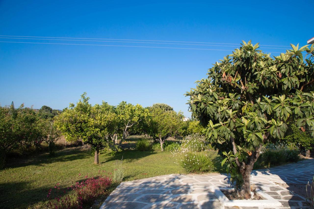 Livadi House Villa Theológosz Kültér fotó